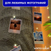 Гирлянда светодиодная Роса Winter Glade 200 ламп